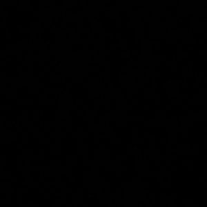 Meet your Posher, Sebastian